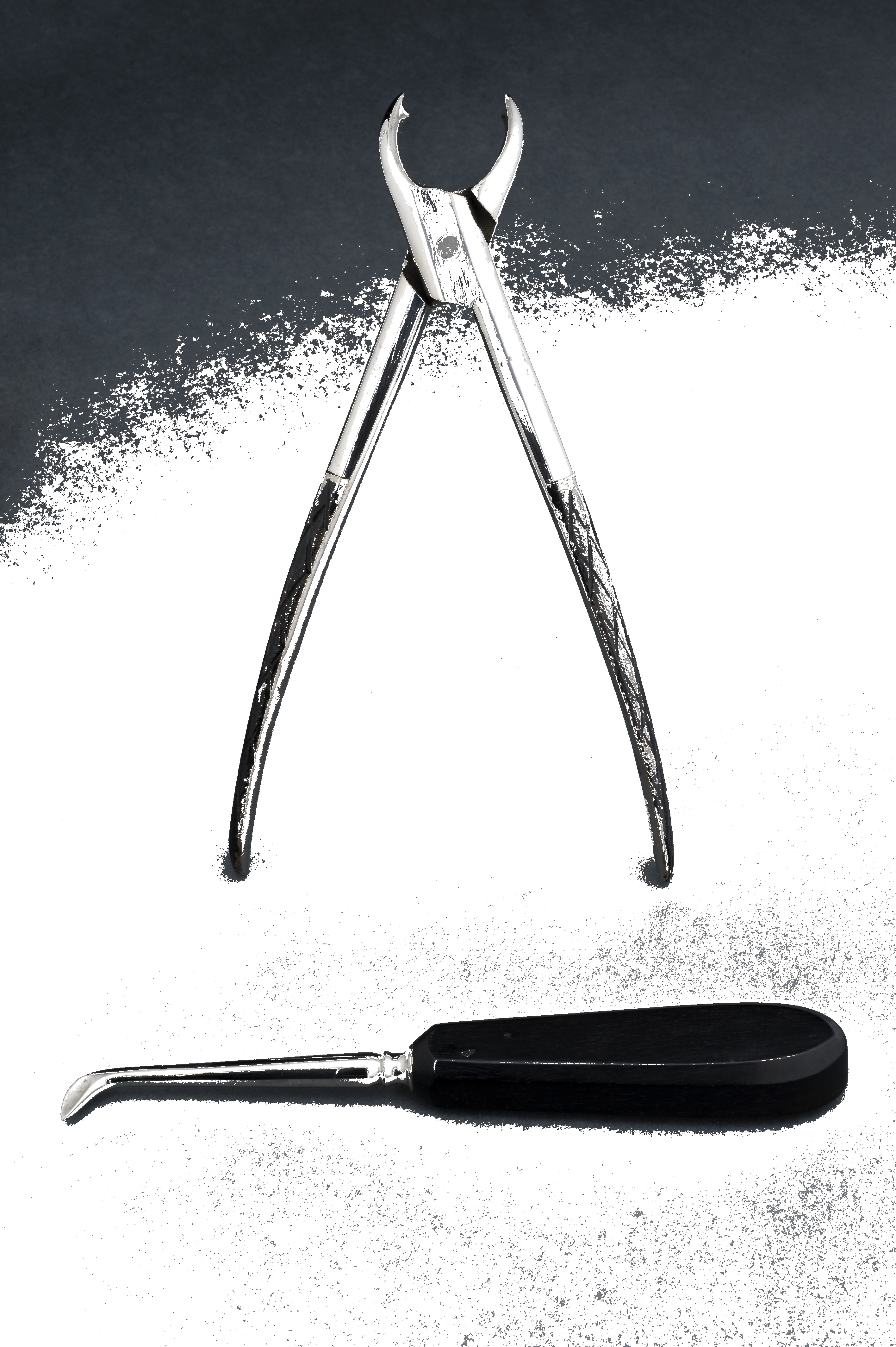 Root elevator (straight & curved)